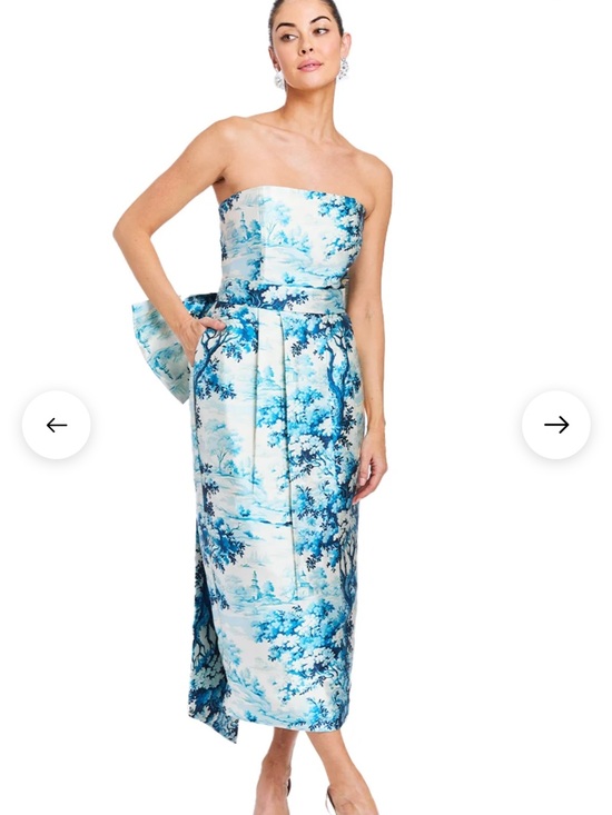 Mestiza New York Dresses & Skirts - Strapless Blue Toile Midi Dress with Back Bow